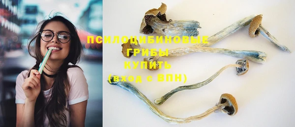 прущий лед Белокуриха