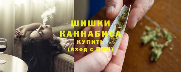 ПСИЛОЦИБИНОВЫЕ ГРИБЫ Белоозёрский