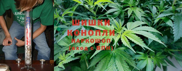 ПСИЛОЦИБИНОВЫЕ ГРИБЫ Белоозёрский