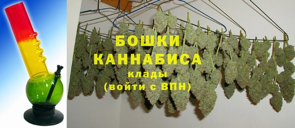 соль ск Богородск