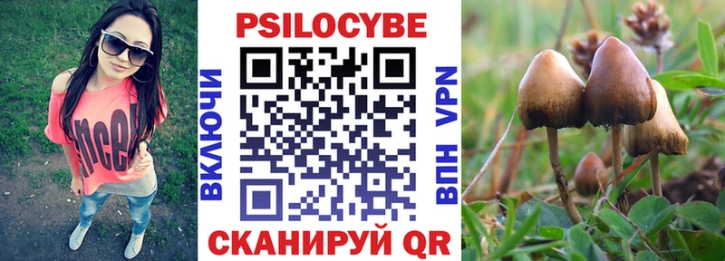 Псилоцибиновые грибы Cubensis  Котовск 